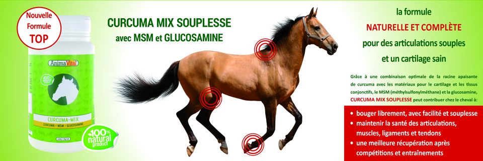 Nouvelle formule top - Curcuma mix souplesse avec MSM & Glucosamine